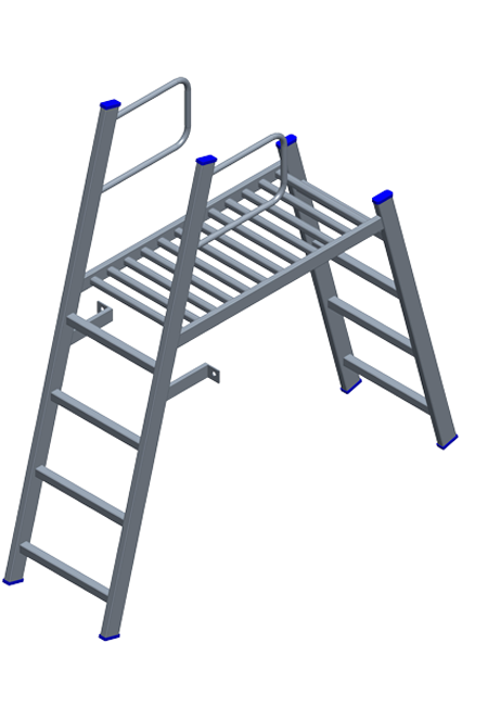 ROOF-ACCESS-LADDER