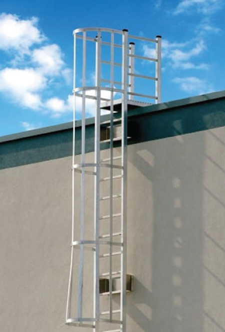 cage-ladder-dxb